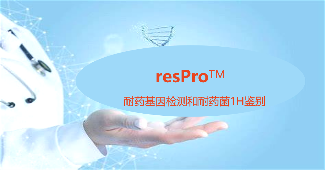 resPro，细菌耐药基因谱