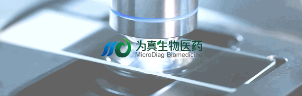 王莹院长领衔，王弢博士技术负责的研发项目获浙江省2024年度“尖兵”“领雁”研发攻关计划项目立项